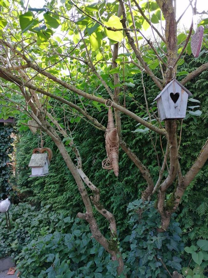 ברינגן Luxe Wellness B&B Tim Torfs ***** מראה חיצוני תמונה